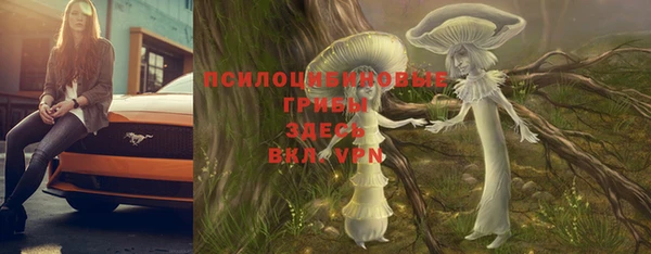 apvp Костерёво